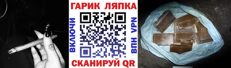 Купить где  Петровск-Забайкальский  Гашиш Premium 