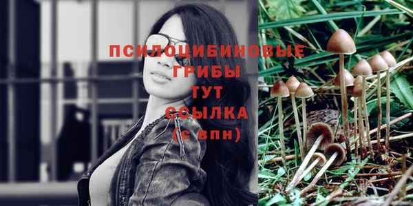 прущий лед Карпинск