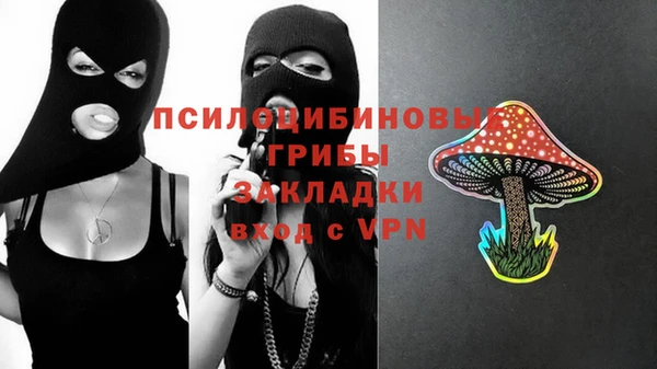 прущий лед Карпинск