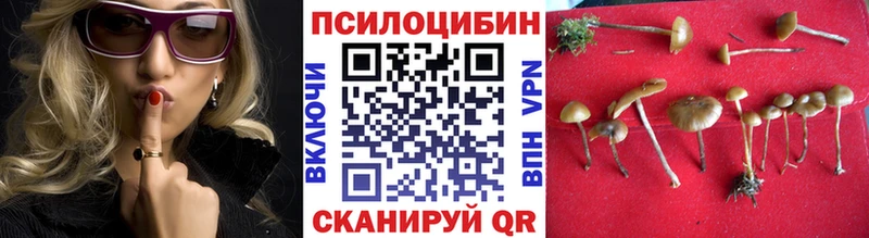 Купить  Петровск-Забайкальский  Псилоцибиновые грибы MAGIC MUSHROOMS 